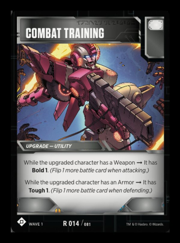 Combat Training
