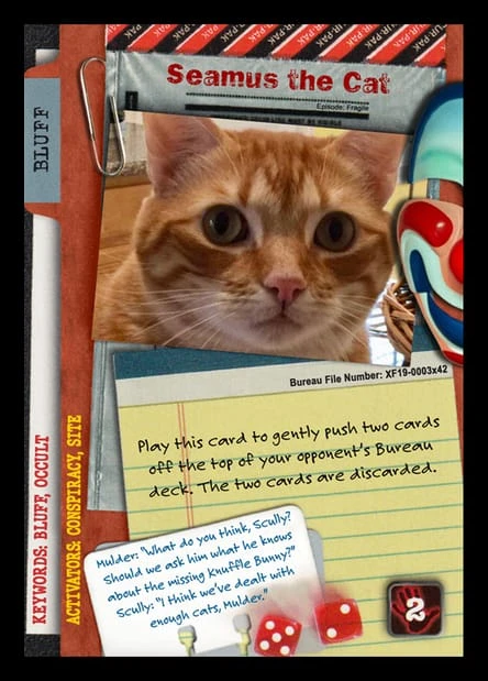 Seamus the Cat