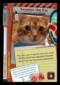 Seamus the Cat
